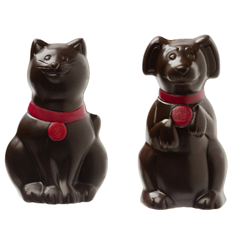 Image de CHIEN OU CHAT NOIR 50G COLORÉ